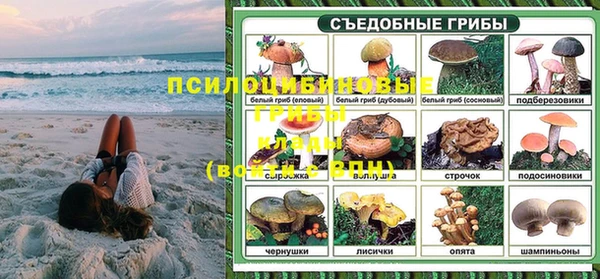 Альфа ПВП Аркадак