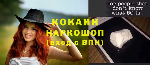 Альфа ПВП Аркадак