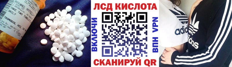 дарк нет клад  Ленинск-Кузнецкий  LSD-25 экстази кислота 