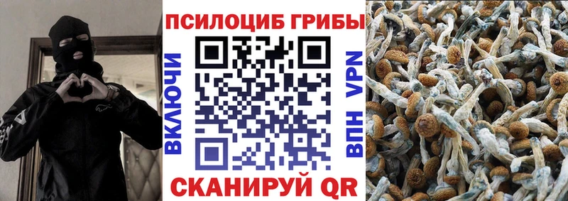 продажа наркотиков  Ленинск-Кузнецкий  ссылка на мегу вход  Галлюциногенные грибы MAGIC MUSHROOMS 